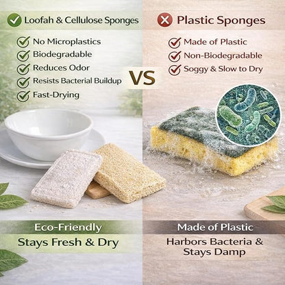 Loofah Sponge for Dishes – 2-in-1 Natural Dish Sponges, Pack of 4, Made with Loofah & Cellulose, Plastic-Free, Biodegradable, Fast-Drying, Non-Scratch & Hygienic