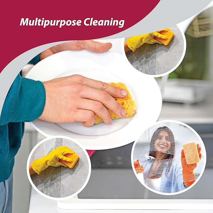 HIC Kitchen Pop-Up Sponges, Rectangular, Natural Vegetable Cellulose, Set of 4