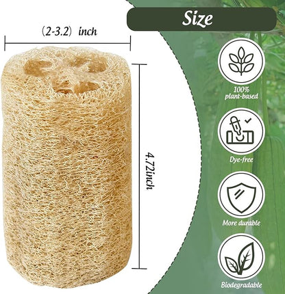 Natural Loofah Sponge, 4pcs Loofah Vegetable Scrubber for Kitchen, Reusable Natural Dish Sponge for Cleaning and Shower Scrubbing, 4.72inch(Non-Vacuum Packed)