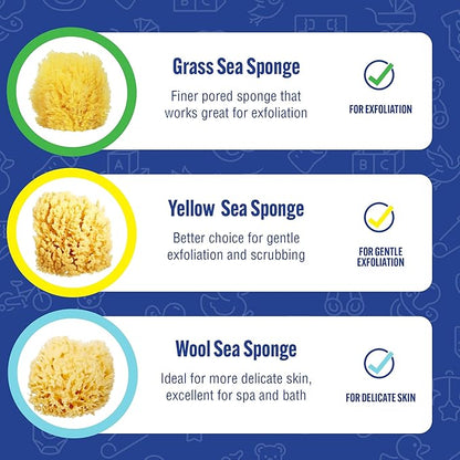 Baby Buddy Baby Bath 4in Yellow Sea Sponge, Absorbent Natural Sea Sponge, Soft on Tender Skin, Biodegradable, Hypoallergenic, Bath Accessories for Bathing, 3 Pack