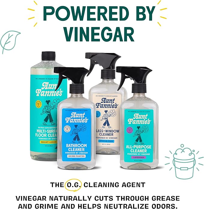 Aunt Fannie's All Purpose Household Cleaner, Multi-Surface Spray Cleaner, Powered by Vinegar for Kitchen, Bath, Windows and Countertops, Fragrance Free, Pack of 1