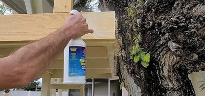 Force 5 SHIPN'SHORE, Rust Stain Remover, Instant Hull Cleaner, Vinyl, Fabric, Metal & Painted Surfaces - Removes Sprinkler Stains from Walls and Fences Instantly.