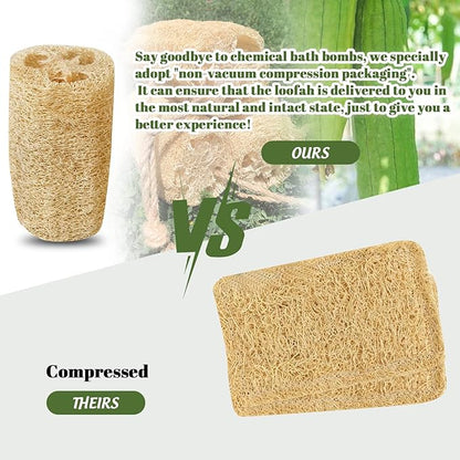 Natural Loofah Sponge, 4pcs Loofah Vegetable Scrubber for Kitchen, Reusable Natural Dish Sponge for Cleaning and Shower Scrubbing, 4.72inch(Non-Vacuum Packed)