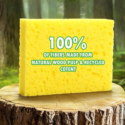 12 Counts Multipurpose Kitchen Sponges Pack Compostable Biodegradable Compressed Cellulose Sponges 18X Super Absorbent POP UP Eco Sponge for Household Use