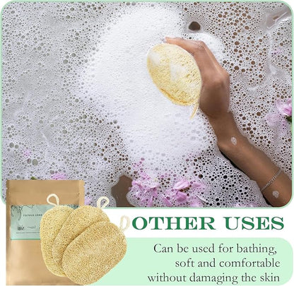Natural Loofah Dish Sponge, Natural Kitchen Biodegradable Compostable Cellulose Loofah Scrub Sponge, Dual Sided Reusable Non Scratch Cleaning Sponge for Cleaning Kitchen, Bathroom, Household, 3 Pcs
