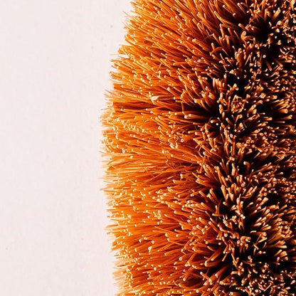 Pack of 6 Tawashi Vegetable Scrub Brush,100% Natural Coconut Coir Fiber VegetableBrush, Ideal for Fruit Scrub, Kitchen Cleaning Needs, Kamenoko Japanese Design