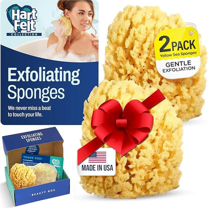 HartFelt Yellow Sea Sponge Beauty Box for Gentle Exfoliation | 2 Bath Sponges for Shower Women & Men 4 in | Body Sponge with Mesh Bag for Cleaning & Drying | Reusable Natural Sponge - Gift Box