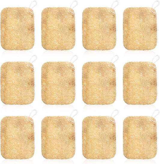 12 Pcs Natural Loofah Dish Sponge, Natural Loofah Dish Sponge, Loofahe's Kitchen Sponges, Scrub Clean