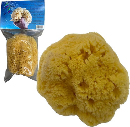 Awesome Aquatic Natural Sea Sponge Amazing Natural Renewable Resource Creating The in Home Perfect Bath and Shower Experience Artist Sponge (Yellow Grass 5-6 Inch)