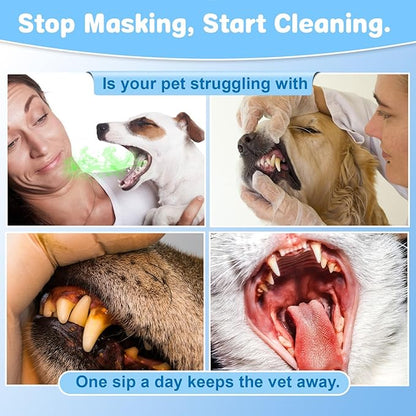 Dog & Cat Oral Care Bundle – Dental Water & Pet Cleaning Gloves Set for Daily Mouth Freshness & Gentle Grooming