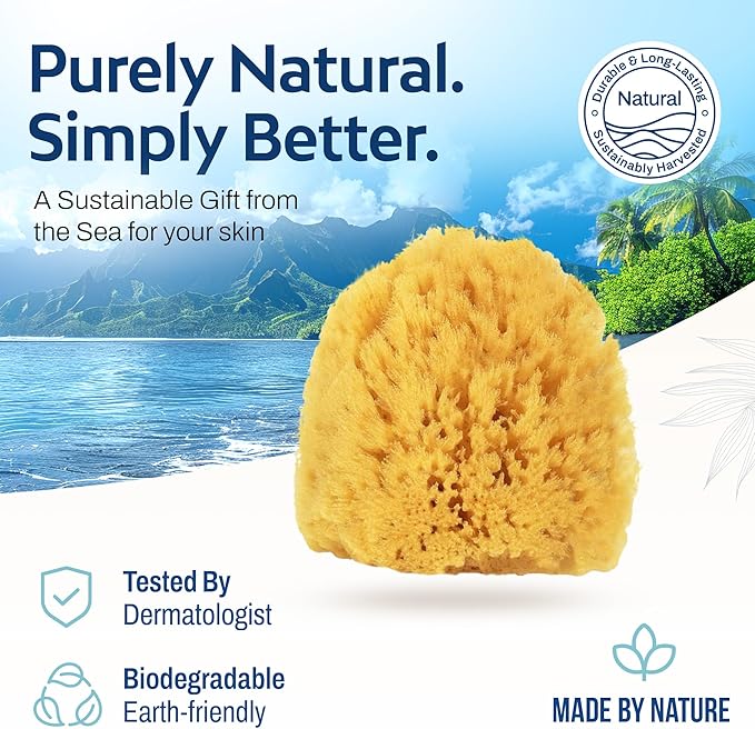 HartFelt Exfoliating Grass Sea Sponge 4in | Natural Exfoliating Body Scrubber Sponge for Shower for Women and Men (Pack of 2)