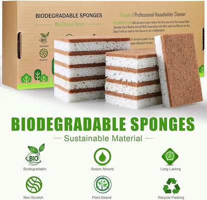 PANYEE Biodegradable Natural Kitchen Sponge，Eco Friendly Sponges for Dishes,Compostable Cellulose Sponge with Natural Plant Based Coconut Walnut Sustainable Scrubber Pack of 12