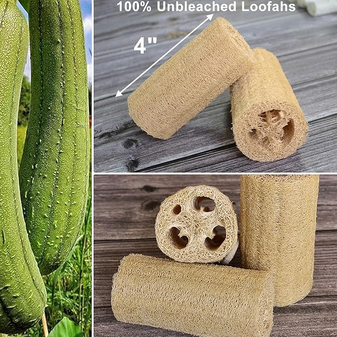 Natural Loofah Sponge, METLUCK 6 Pack Organic Real Loofah Exfoliating Body Scrubber Luffa Sponge Natural Loofah Bulk for Men Women in Bath Shower Deep Clean