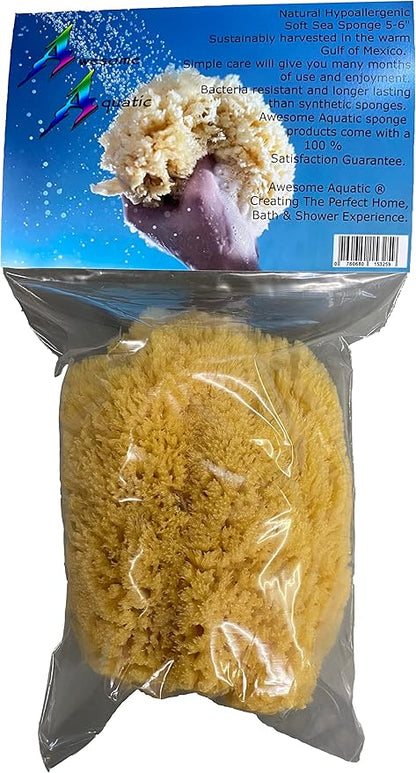 Awesome Aquatic Natural Sea Sponge Amazing Natural Renewable Resource Creating The in Home Perfect Bath and Shower Experience Artist Sponge (Yellow Grass 5-6 Inch)