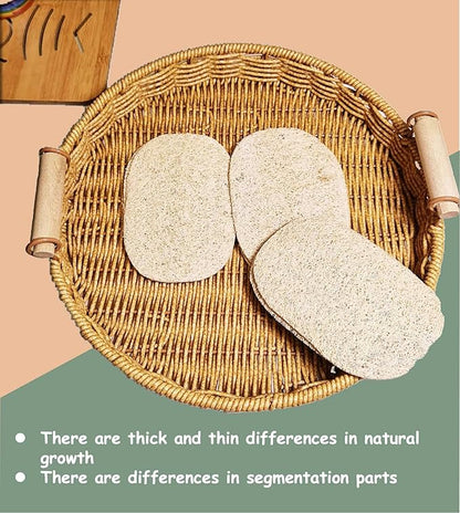 WOCATS 6 Pack Natural Loofah Sponges for Dishes & Bath - Biodegradable, Eco-Friendly Kitchen Scrubber & Body Exfoliator, Non-Scratch, Durable, Reusable