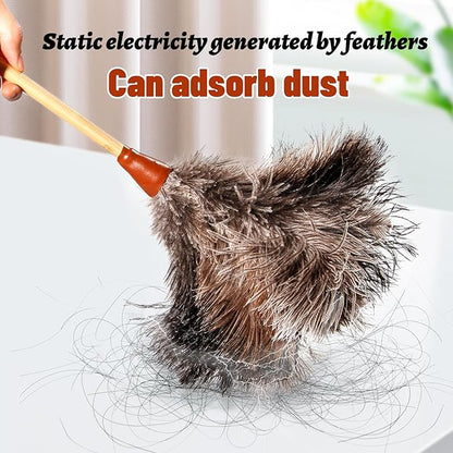 16inch Natural Good Ostrich Feather Duster with Bamboo Handle, Electrostatic Dust Remove for Ceiling，Fans，Bookshelves, Sofa, Windows, Fit for Home, Office and Cars Duster Green