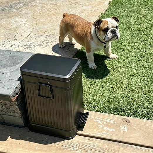 Small Trash Can with Lid Soft Close-6L/1.6 Gal Stainless Steel Outdoor Dog Poop Garbage Can-Metal Waste Bins with Pedal for Bathroom Bedroom Office-Black