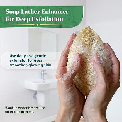Natural Loofah Exfoliating Sponge (4 Pack) - Organic Loofah for Body - Biodegradable Shower Luffa - Natural Bath Sponges Loufa - Estropajos para el Cuerpo