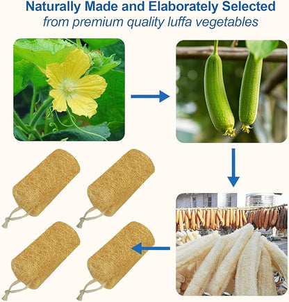 Natural Loofah Sponge (4 Packs), 6“ Natural Loofah Exfoliating Body Scrubber Egyptian Loofa Eco 100% All Natural luffa Cleaning for Men Women Deep Clean Skin