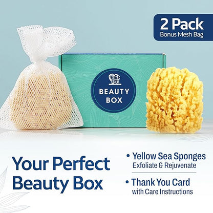HartFelt Yellow Sea Sponge Beauty Box for Gentle Exfoliation | 2 Bath Sponges for Shower Women & Men 4 in | Body Sponge with Mesh Bag for Cleaning & Drying | Reusable Natural Sponge - Gift Box