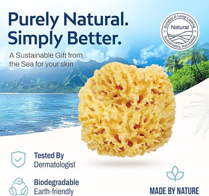 HartFelt Wool Sea Sponge Beauty Box for Delicate Skin | 2 Bath Sponges for Shower Women & Men 4 in | Natural Sponge with Mesh Bag for Cleaning & Drying | Chemical-Free Body Sponge Set - Gift Box