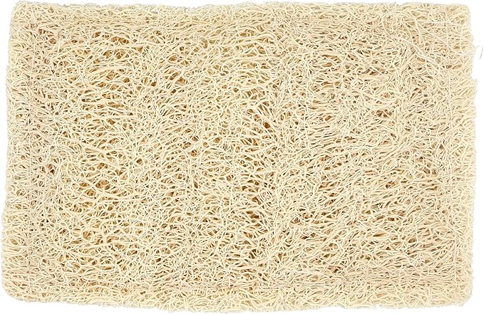Full Circle 100% Plant-Based Loofah Sponges – Pack of 2 – Plastic-Free, Natural Sponge, No Microplastics, Safe for Nonstick Cookware.