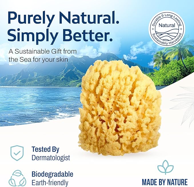 HartFelt Gentle Exfoliation Yellow Sea Sponge 4in | Natural Shower Sponges for Bathing for Men and Women | Rich Lather