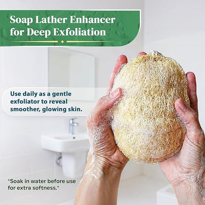 Natural Loofah Exfoliating Sponge (4 Pack) - Organic Loofah for Body - Biodegradable Shower Luffa - Natural Bath Sponges Loufa - Estropajos para el Cuerpo
