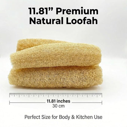 Natural Organic Loofah Sponge 4 Pack, Exfoliating Body Scrubber for Shower Bath, 100% Biodegradable Gentle Luffa for Sensitive Skin, Multi‑Purpose Cleaning Tool