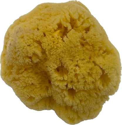 Awesome Aquatic Natural Sea Sponge Amazing Natural Renewable Resource Creating The in Home Perfect Bath and Shower Experience Artist Sponge (Yellow Grass 5-6 Inch)