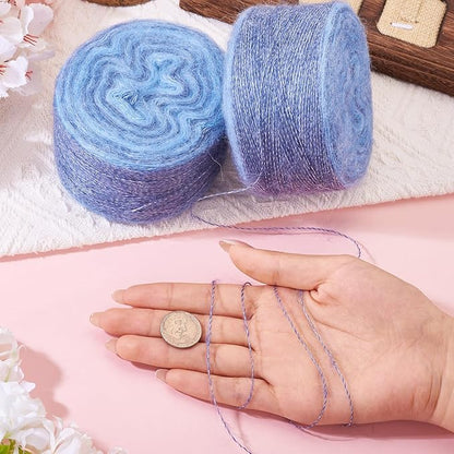 2 Roll Mohair Wool Yarn Soft for Crocheting Knitting Hand Washable Long Wool Yarn DIY Scarf Crochet Thread for Clothes Hats Sweater Scarf Craft Projects (Light Steel Blue)