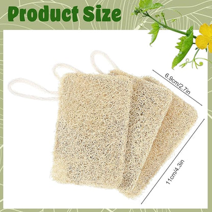 3Pcs Natural Loofa, 100% Real Natural Loofah Sponges Set, Loofah Sponge for Dishwashing, Luffa Sponges