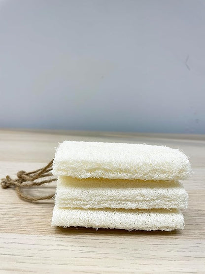 4" Plant Sponge 100% Natural Loofah Dish Sponges, Natural Dishwashing Sponges for Kitchen, Kitchen Scrubber Loofahs - 24 Pack