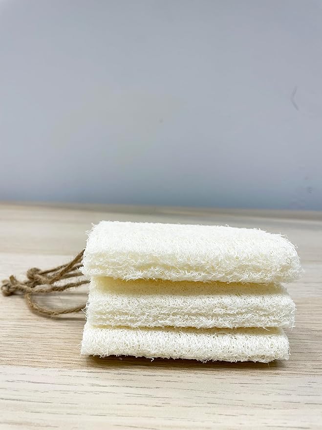 4" Plant Sponge 100% Natural Loofah Dish Sponges, Natural Dishwashing Sponges for Kitchen, Kitchen Scrubber Loofahs - 12 Pack