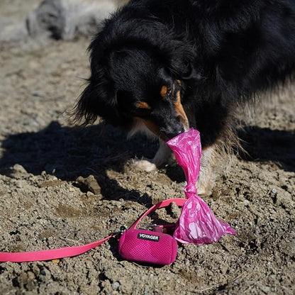 Best Pet Supplies Dog Poop Bags for Waste Refuse Cleanup, Doggy Roll Replacements for Outdoor Puppy Walking and Travel, Leak Proof and Tear Resistant, Thick Plastic - Pink Heart, 360 Bags