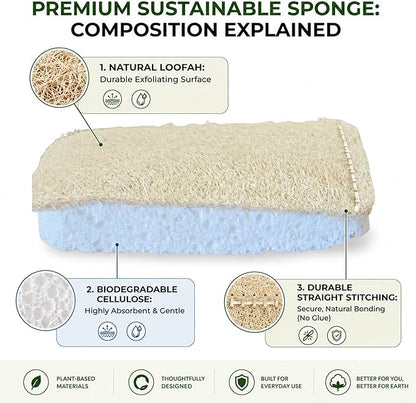 Eco Kitchen Sponges - Plant Based Cellulose & Natural Loofah Scrub Sponge - Biodegradable Dish Sponge - 6 Pack - by Janté Co.