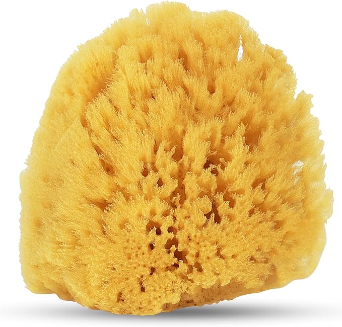 HartFelt Gentle Exfoliation Yellow Sea Sponge 4in | Natural Shower Sponges for Bathing for Men and Women | Rich Lather