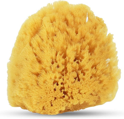 HartFelt Gentle Exfoliation Yellow Sea Sponge 4in | Natural Shower Sponges for Bathing for Men and Women | Rich Lather