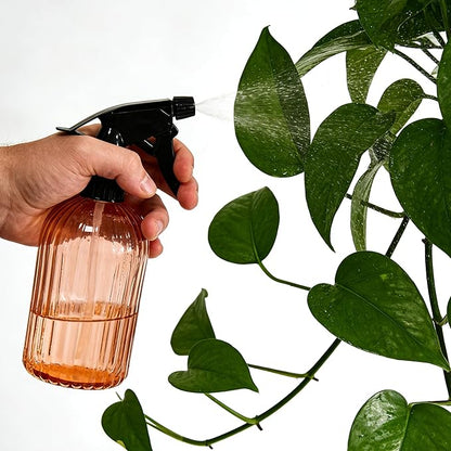 Glass Plant Spray Bottle, 13.5oz Refillable Plant Mister Bottle, Handheld Water Spray Bottle with Adjustable Mist Nozzle for Outdoor Gardening, Indoor Flowers, Cleaning, Hair & Pets Care (Orange)
