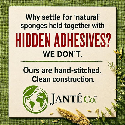 Eco Kitchen Sponges - Plant Based Cellulose & Natural Loofah Scrub Sponge - Biodegradable Dish Sponge - 6 Pack - by Janté Co.