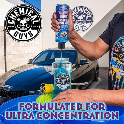 Chemical Guys CWS21664 Blueberry Snow Foam Car Wash Soap (Works with Foam Cannons, Foam Guns or Bucket Washes), Safe for Cars, Trucks, SUVs, Jeeps, Motorcycles, RVs & More, 64 fl. Oz