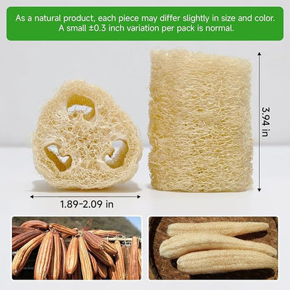 Natural Loofah Sponges – 4 Pack for Shower & Bath – Eco-Friendly Exfoliation, Body Scrubber,wash the Dishes, & Pet Grooming – Biodegradable, Chemical-Free