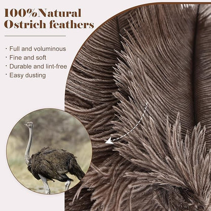 Natural Ostrich Feather Duster 14.9 inch Fluffy Mini Dusters with Plastic Handheld for Cleaning Car Keyboard Office 2 PCS