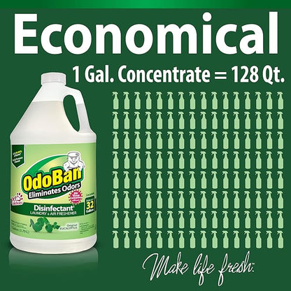 OdoBan Disinfectant Concentrate and Odor Eliminator, 4 Gallons, Original Eucalyptus Scent