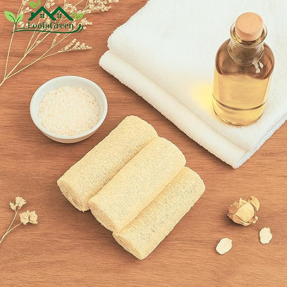 Natural Loofah for Shower & Kitchen – 4 Pack Exfoliating Body Scrubbers & Eco Dish Sponges – Loofah for Men & Women, Cylindrical & Round Shapes.