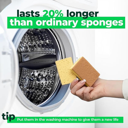 bioGo Biodegradable Kitchen Sponges – Natural Cellulose, Eco-Friendly, Compostable Cleaning Sponges – 24 Pack