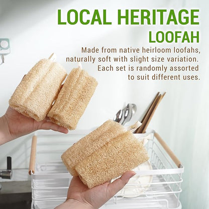 Natural Vietnamese Loofah Sponge, 100% Plant-Based Luffa Exfoliating Body Scrubber for Shower, Multi-Functional for Kitchen, Ideal for Men & Women, Spa & for Pet (2pcs/Pack)