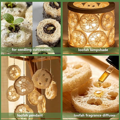 Natural Loofah Sponge for Soap Making, 20 Pack Organic Loofahs Slices Cuts Set, Loofa Exfoliating Body Scrubber, Shower Sponge Luffas for Women and Men