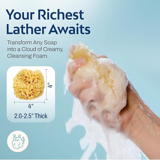 HartFelt Delicate Skin Wool Sea Sponge 4 in | Real Natural Sponges for Body and Face Gentle Care | Luxurious Lather