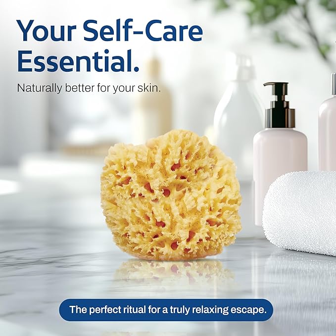HartFelt Delicate Skin Wool Sea Sponge 4 in | Real Natural Sponges for Body and Face Gentle Care | Luxurious Lather